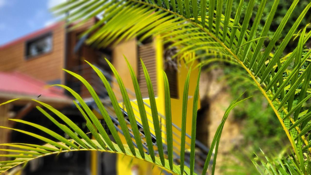 Kalinao - Bungalow Chic En Nature Les Abymes Exterior foto